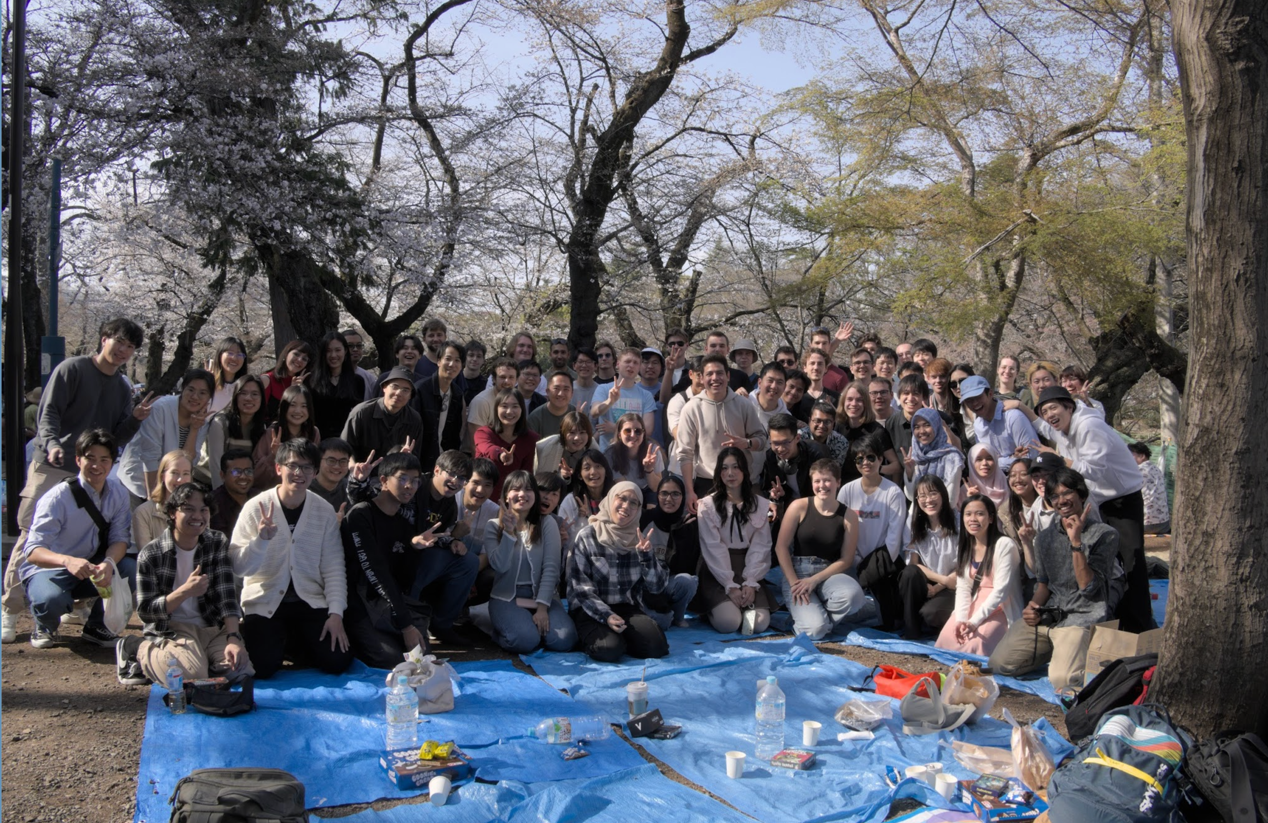 Photo of Hanami